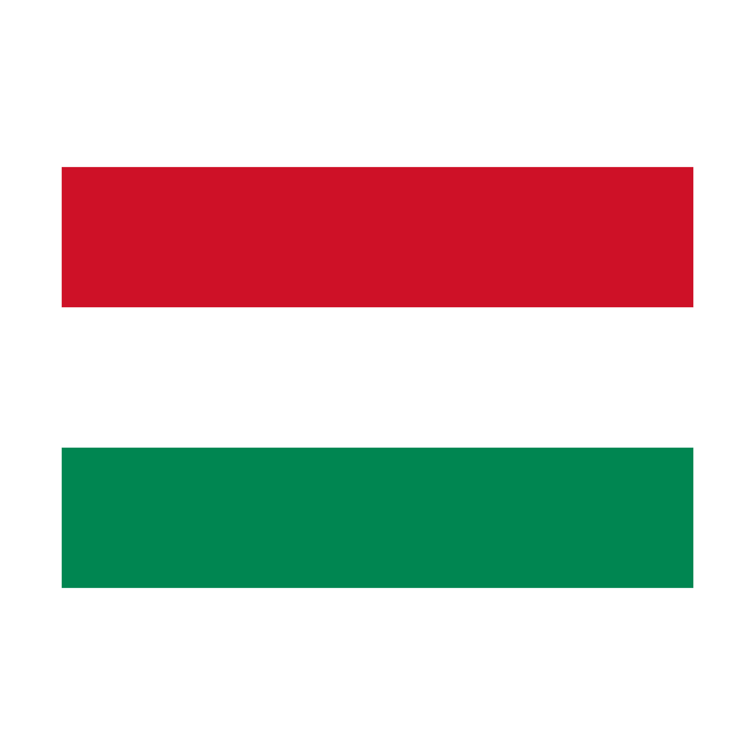 Magyar zászló